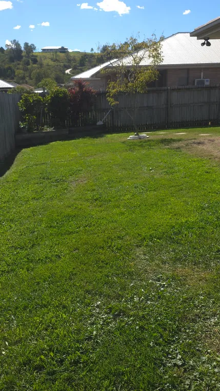 Established garden cut back for the season at Kensington Grove