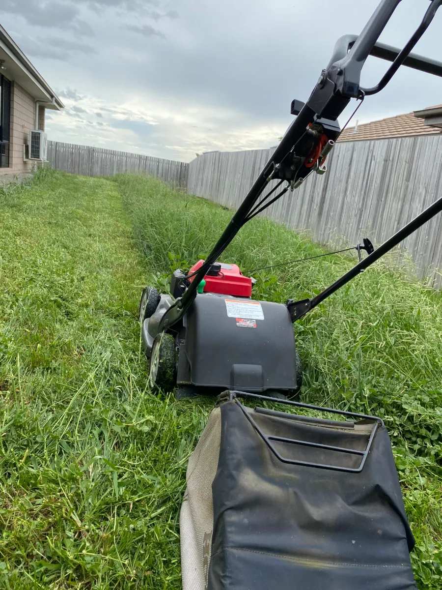 Mower cutting the first strip through an overgrown side yard during a tidy-up at Plainland QLD
